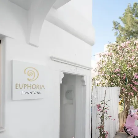 Euphoria Downtown Lejlighed Naxos City